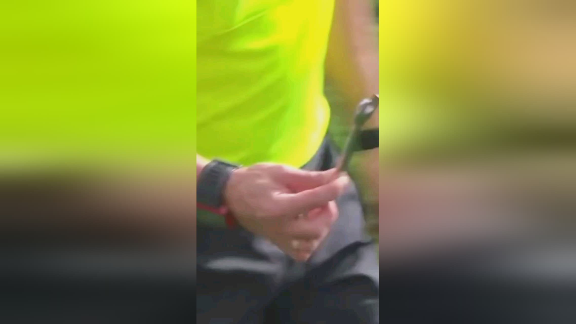 鲁加这一